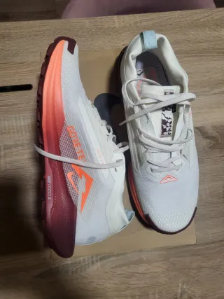 Nike Pegasus Trail 5 GTX Talla 43