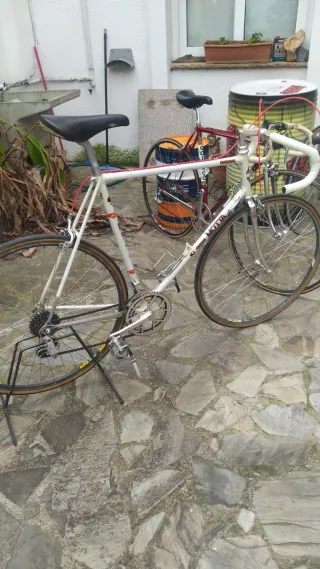 Bicicleta Gianni Motta Clásica