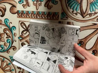 Set di Manga messi in ottime condizioni