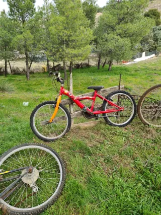 Bicicleta Infantil Roja