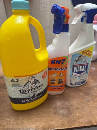 SERVICIOS DE LIMPIEZA : apartamento, pisos, chalet