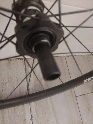 Rueda trasera carbono DT SWISS