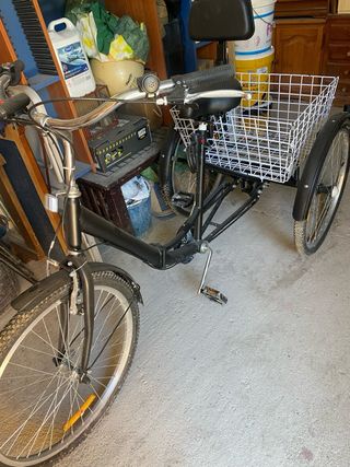 Triciclo con cesta