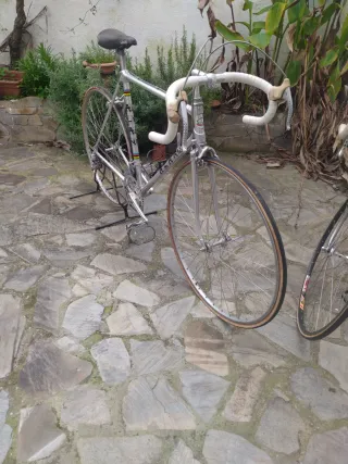 Bicicleta Alan Clásica