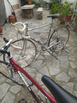 Bicicleta Alan Clásica