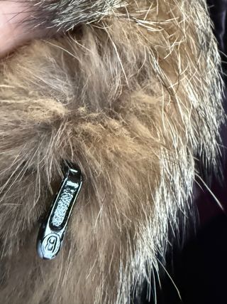 Abrigo de zorro rojo