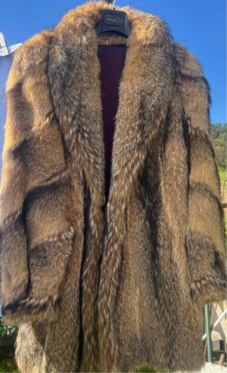 Abrigo de zorro rojo