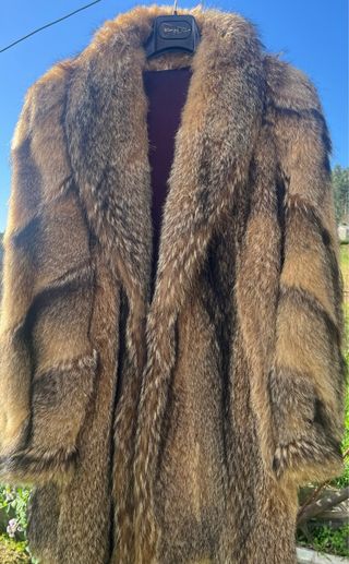 Abrigo de zorro rojo