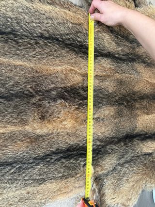 Abrigo de zorro rojo