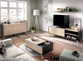 Mueble Bajo Tv. Gris Grafito y Nature