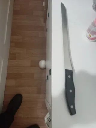 Cuchillo Jamonero Zwilling