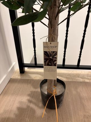 Planta Ficus Artificial Decorativa