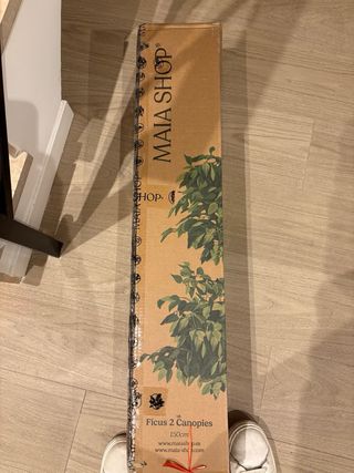 Planta Ficus Artificial Decorativa