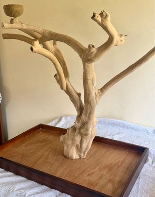 Árbol Java para mascotas