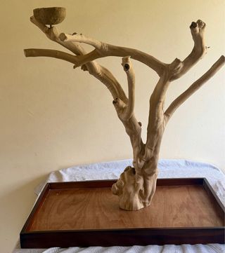 Árbol Java para mascotas