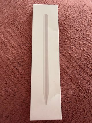 Lápiz iPad Pro Nuevo + Cargador