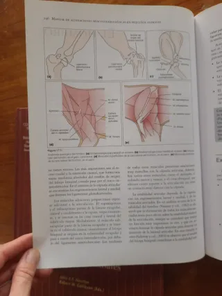 Lote Libros Veterinaria Pequeños Animales