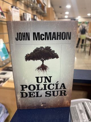 UN POLICÍA DEL SUR