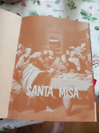 Biblia santa
