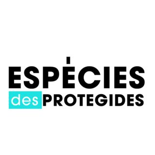 Azulejo pared '60 (En la cama...) (solidario)