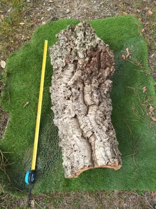 Lote 5 kg Corcho Natural n2