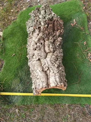 Lote 5 kg Corcho Natural n2