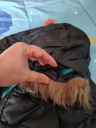 Cazadora Cars niño T8