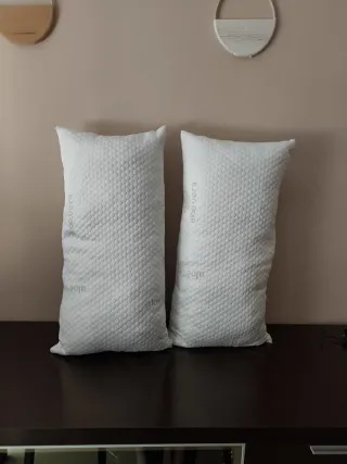 2 Almohadas Aloe Vera 70x40