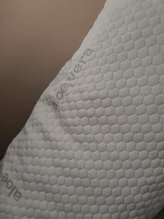 2 Almohadas Aloe Vera 70x40