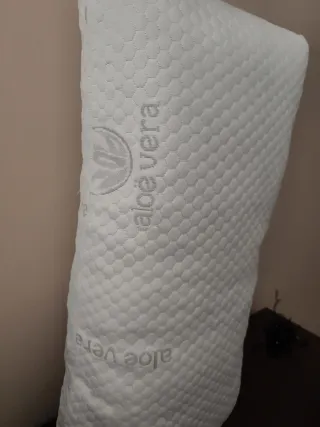 2 Almohadas Aloe Vera 70x40