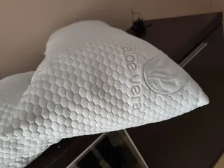 2 Almohadas Aloe Vera 70x40