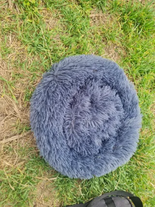 2 Trasportini e Letto per Gatti