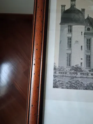 Riproduzione stampe antiche incorniciate