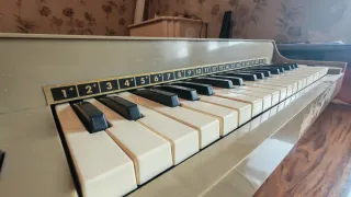 Órgano Electrónico Vintage Magnus