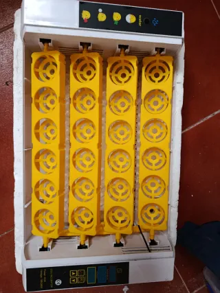 Incubadora de huevos