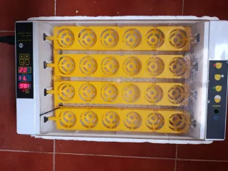 Incubadora de huevos