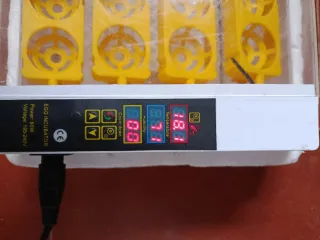 Incubadora de huevos