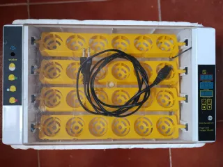 Incubadora de huevos