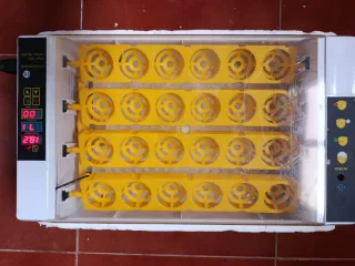 Incubadora de huevos