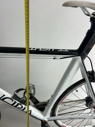 Bicicleta Triatlón Principia