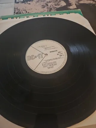 Vinilo LP Play It By Ear Roogalatar