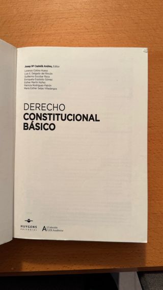 Derecho Constitucional Básico (LEX ACADÉMICA) (...