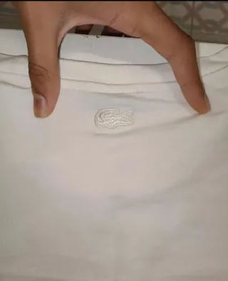 Conjunto Lacoste Camiseta y Pantalón Corto