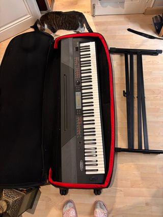 Teclado Digital SP-250