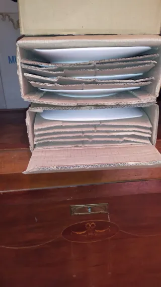 12 Platos Llanos Porcelana nuevos