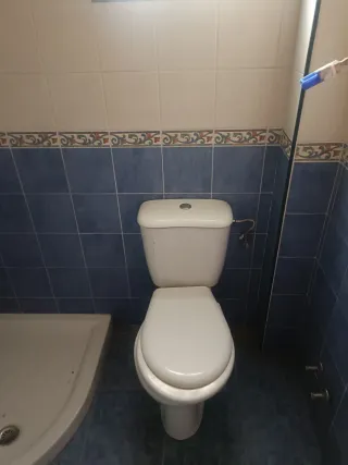 Local comercial en Avenida Virgen de la Palma