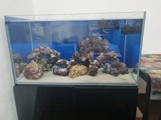 Pack Acuario Marino Completo 230L + 110L