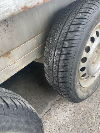 Remolque jaula para perros 2 ejes