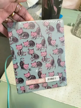 Quaderno Gatti e Bambina di Ninette