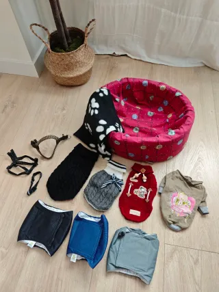 Lote Ropa y Cama para Mascotas Pequeñas